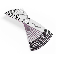 Clavier Pilnik łódka zebra 100/180 10szt